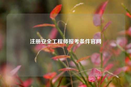 注册安全工程师报考条件凯发官网手机版官网-图1