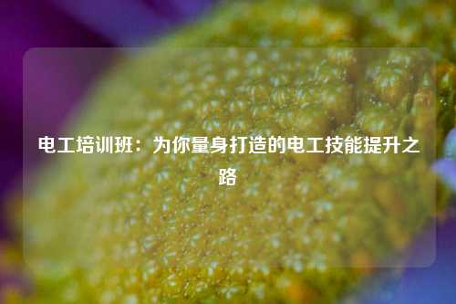 电工培训班：为你量身打造的电工技能提升之路-图1